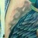 Tattoos - Odin's Raven - 37352